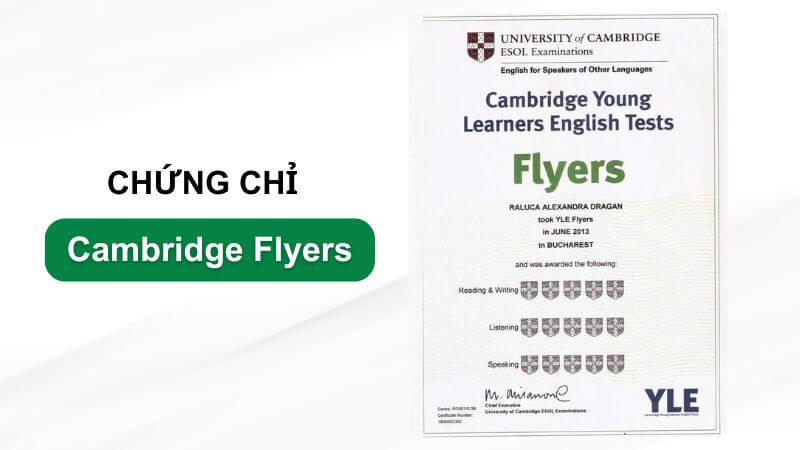 cac chung chi tieng anh cho tre em 3 1