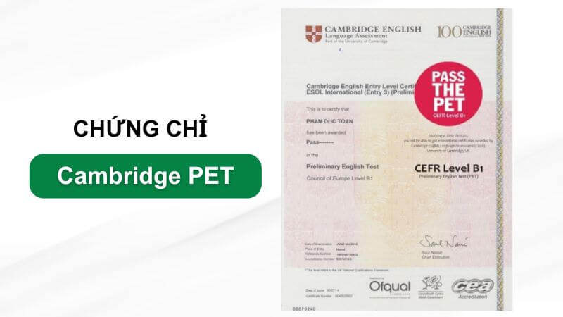 cac chung chi tieng anh cho tre em 5