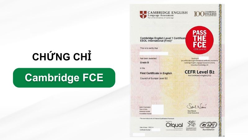 cac chung chi tieng anh cho tre em 6