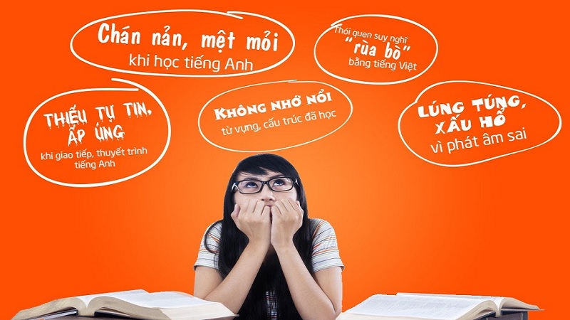 mua van bang b 3