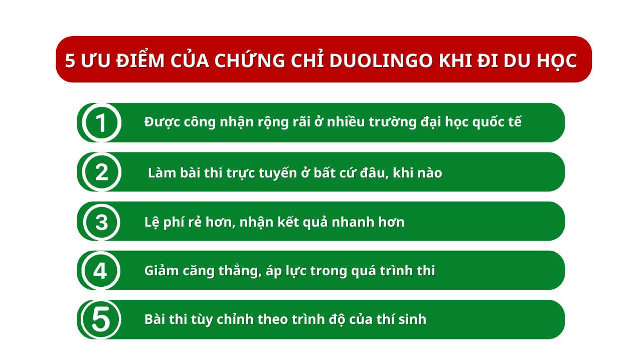 chung chi duolingo 6