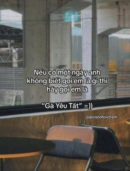 gà yêu tất