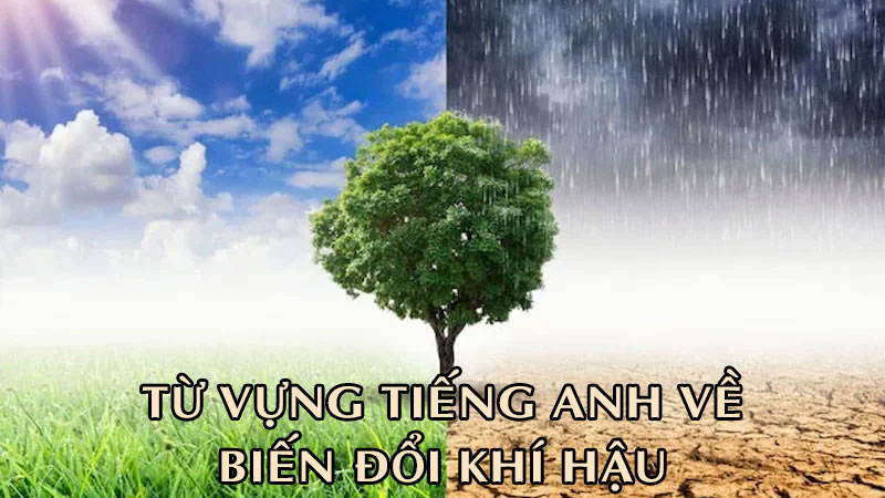 tu vung c1 4